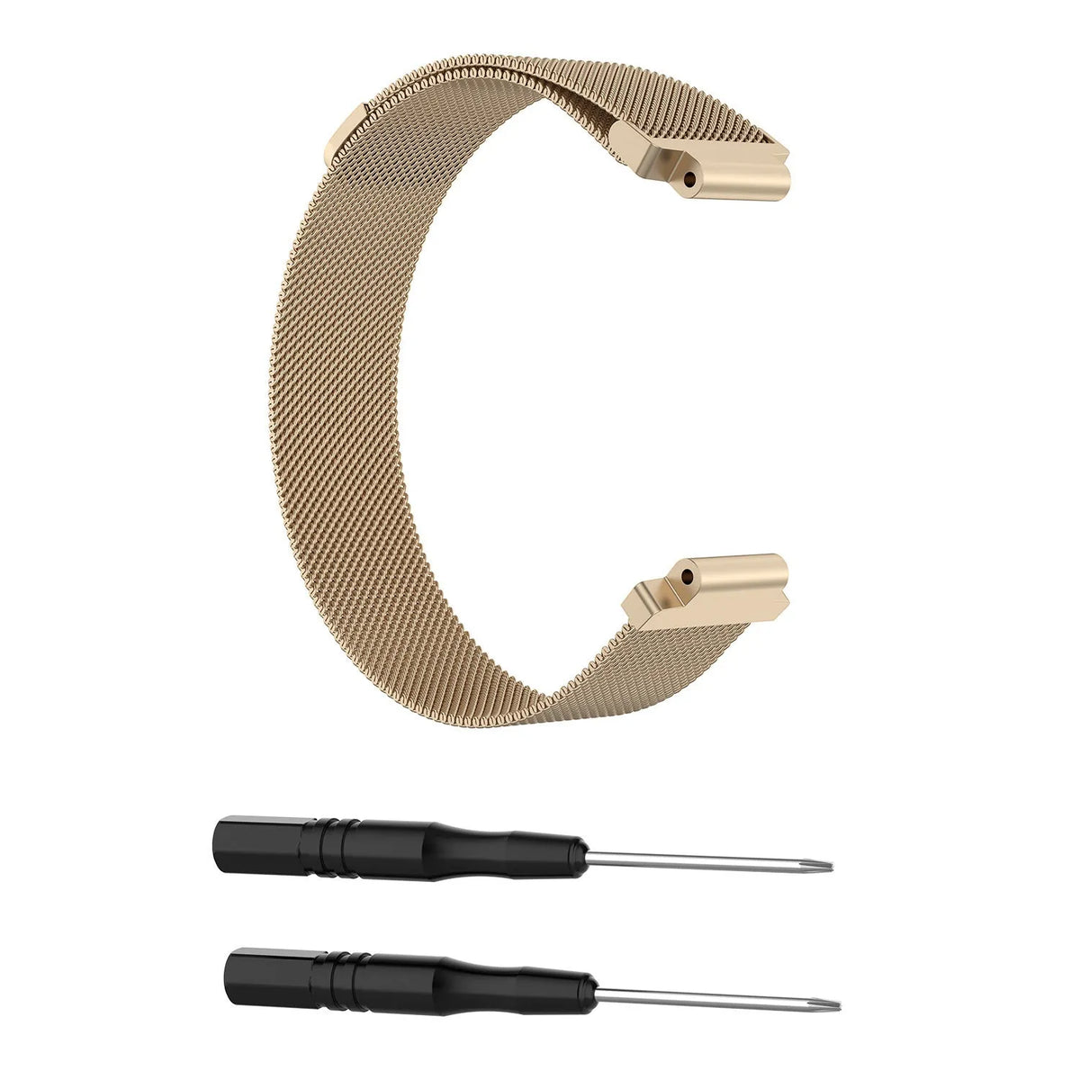 Milanese Strap, champagne, laid flat, separate parts, direct top view