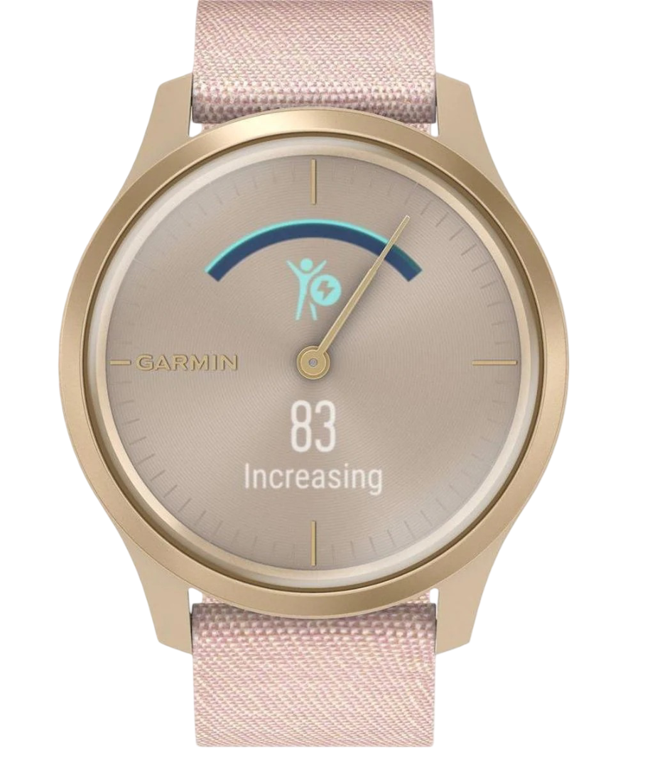 Bracelets Garmin Vivomove Style