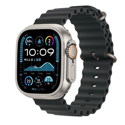 Bandz Coque métallique Apple Watch Ultra - 49mm (titane)