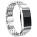 Fitbit Charge 4 Steel Strap Dragon (Silver)