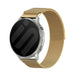 Garmin Forerunner 170 Milanese Strap (Gold)