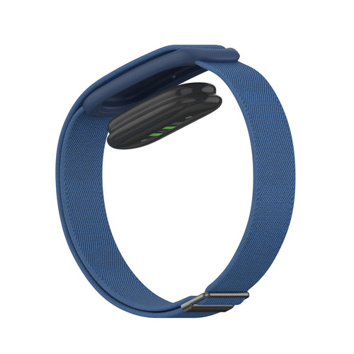 Bracelet élastique Fitbit Air (bleu)