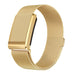 WHOOP 5.0 Milanese Strap (Gold)