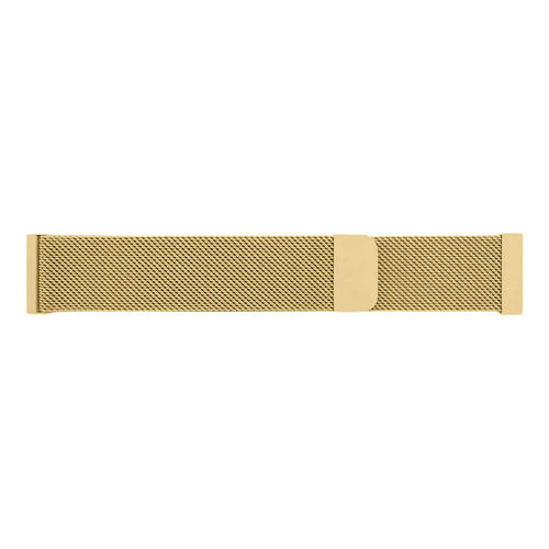 Garmin Forerunner 170 Milanese Strap (Gold)