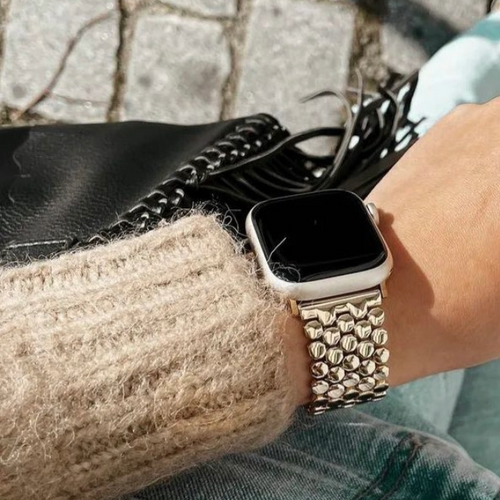 stalen-visband-zilver